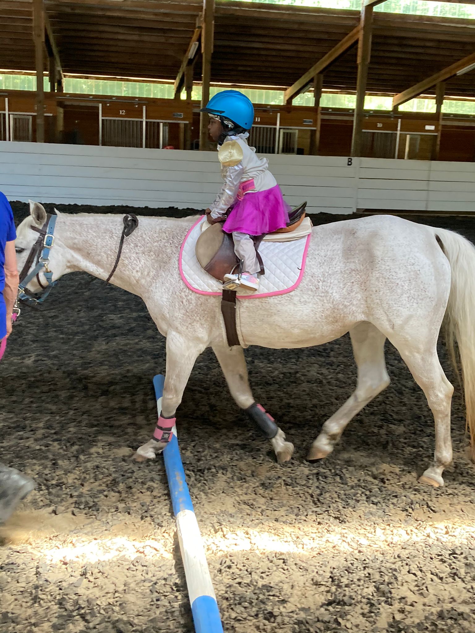 Admiralty Farm, Home of The Riding School