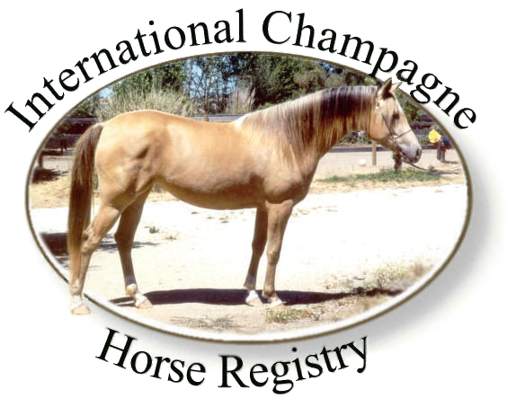 Champagne – International Champagne Horse Registry