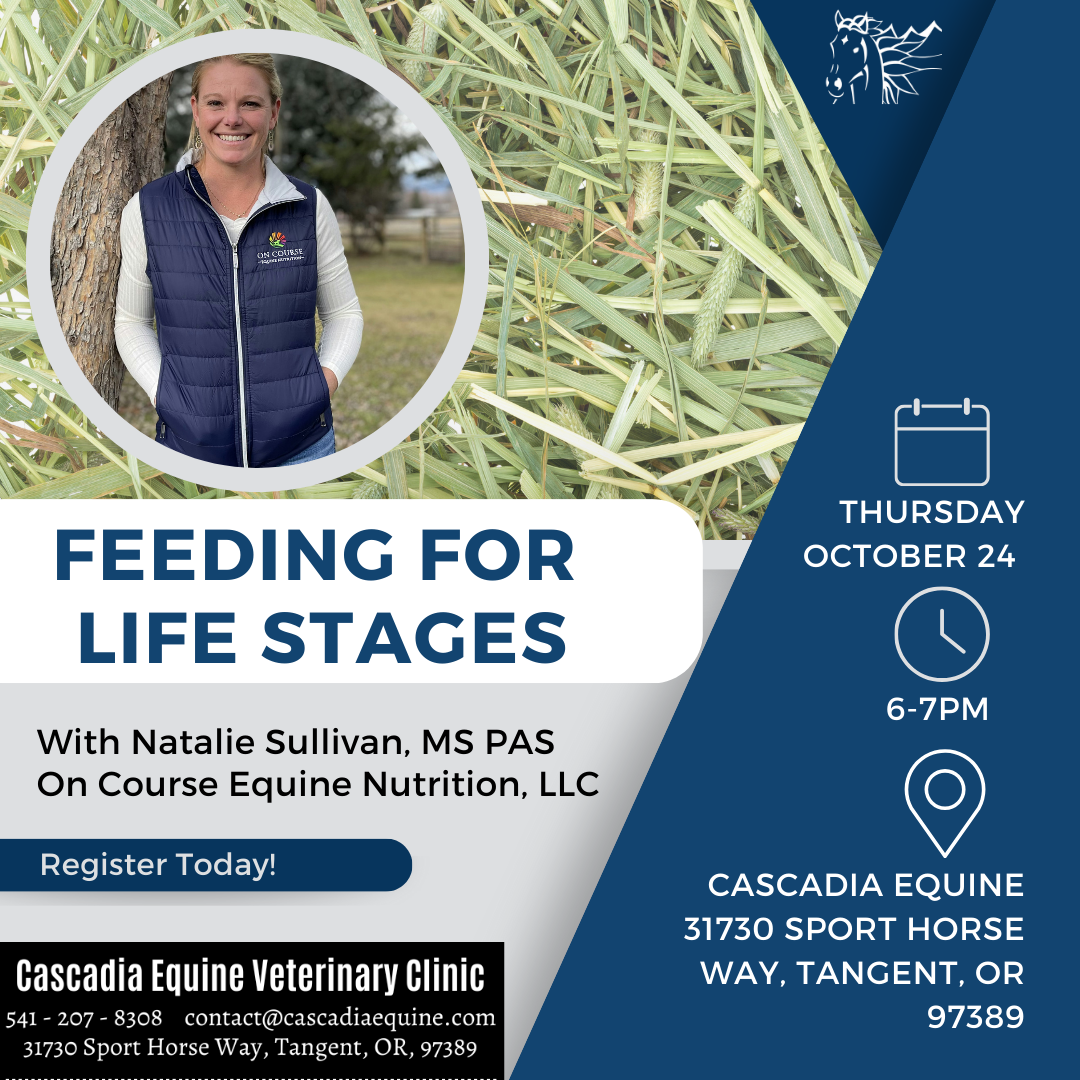 Equine Nutrition: Feeding for All Life Stages