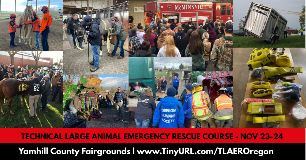 Technical Large Animal Emergency Rescue Course