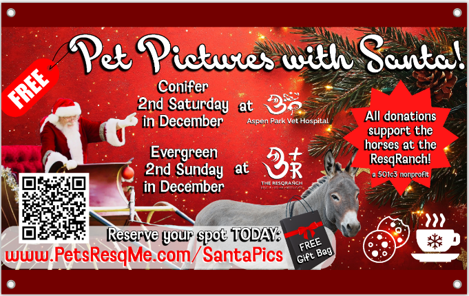 Pet Pictures with Santa at Aspen Park Vet in Conifer