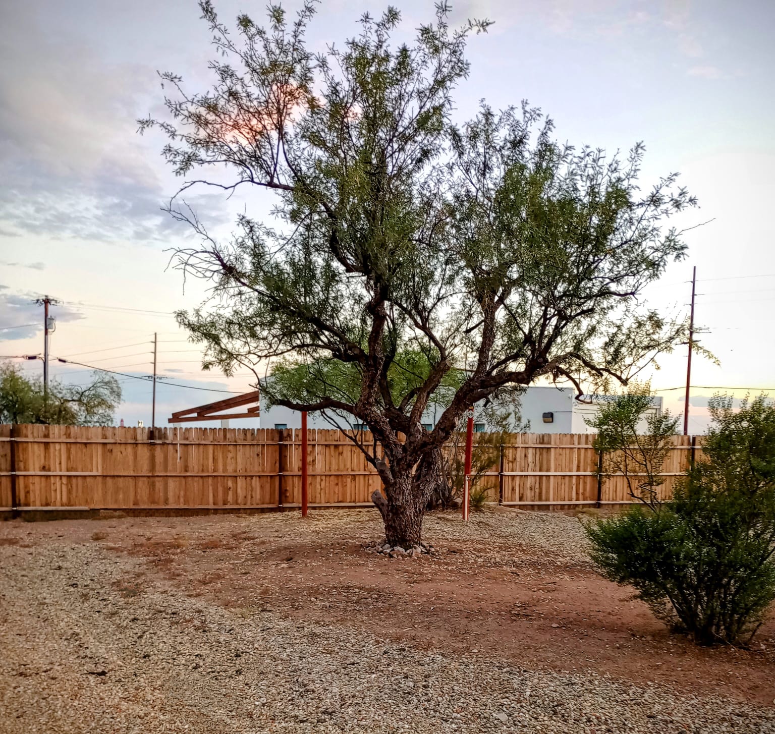 1899 Historic Landmark & Camping - Image 1