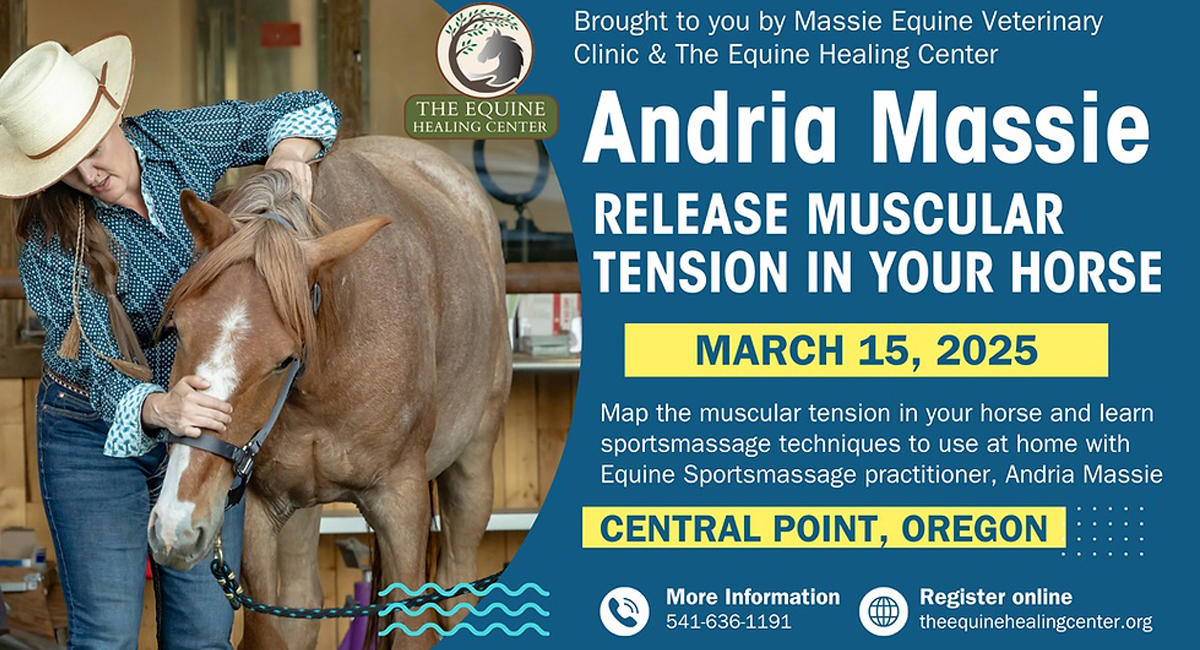 Release Muscular Tension in Your Horse