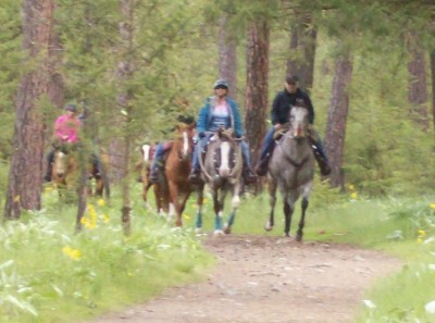 Riverside Equine Park