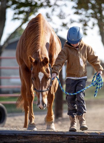 Franklin County Saddle Club