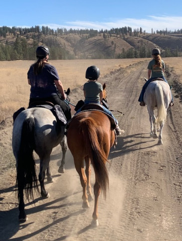 Sand Flats Performance Horses