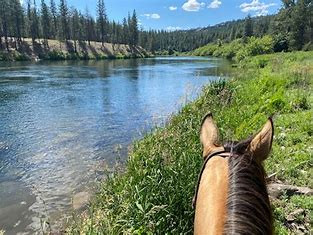 Riverside State Park- Equestrian Area