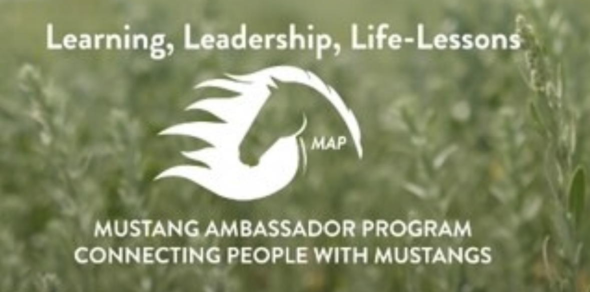 Mustang Ambassador Program 2025 Youth Summer Programs