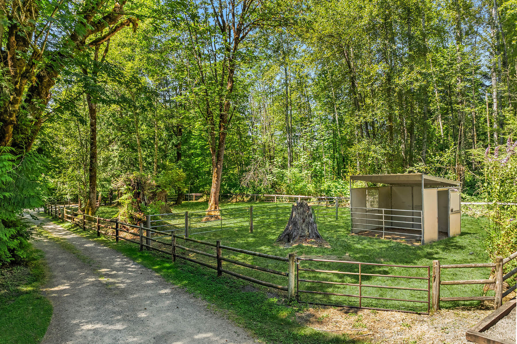 5.23 Acres on Union Hill - Image 5