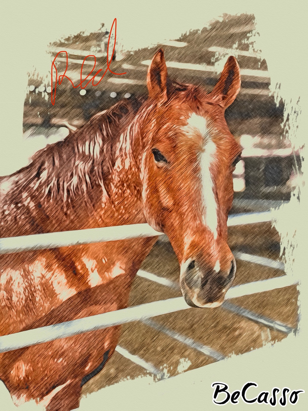Mathisen Equine Transport LLC - Image 18