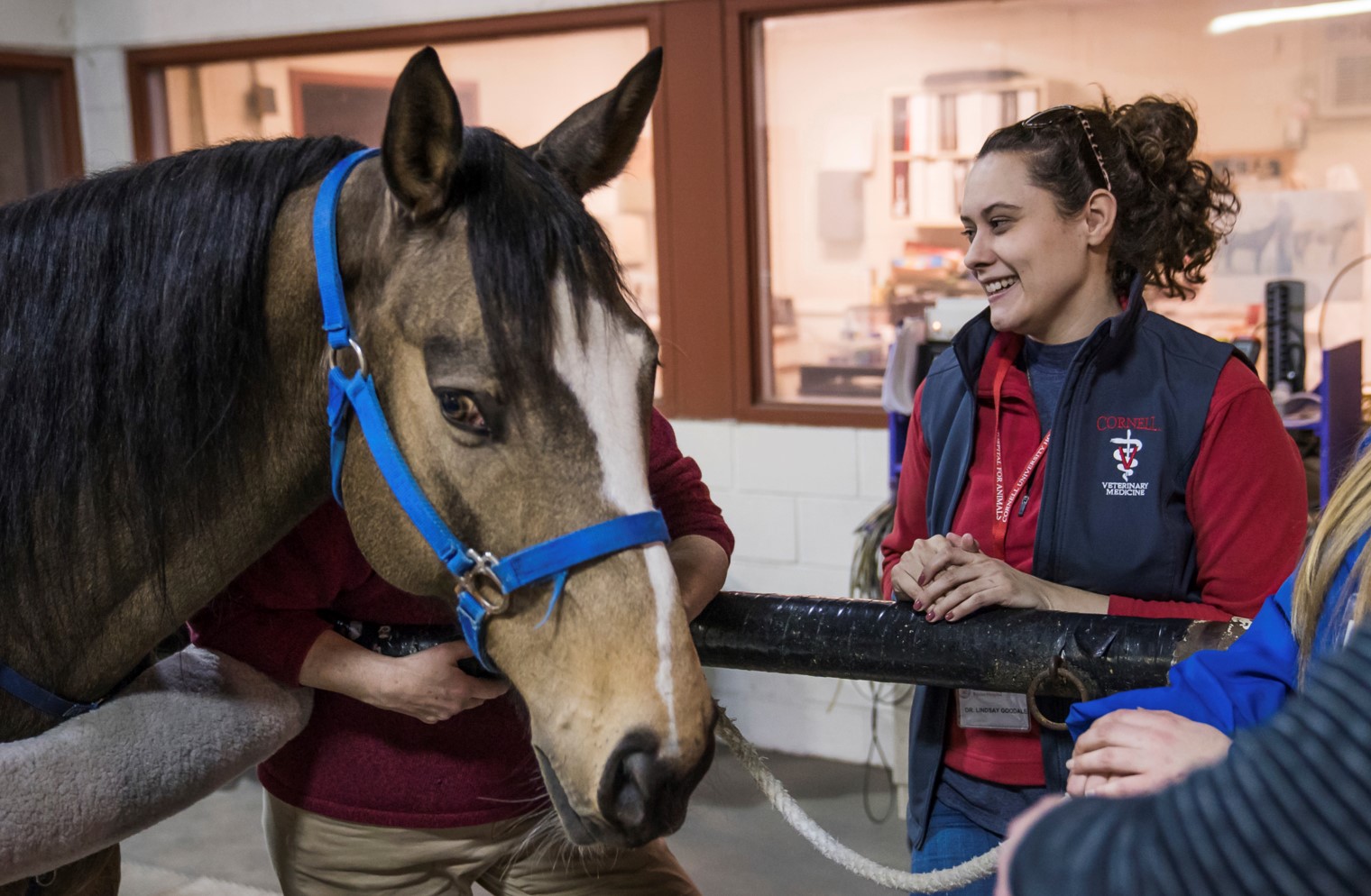 Cornell’s Equine Seminar Series presents “Equine Welfare and Agency: Why Choice Matters”