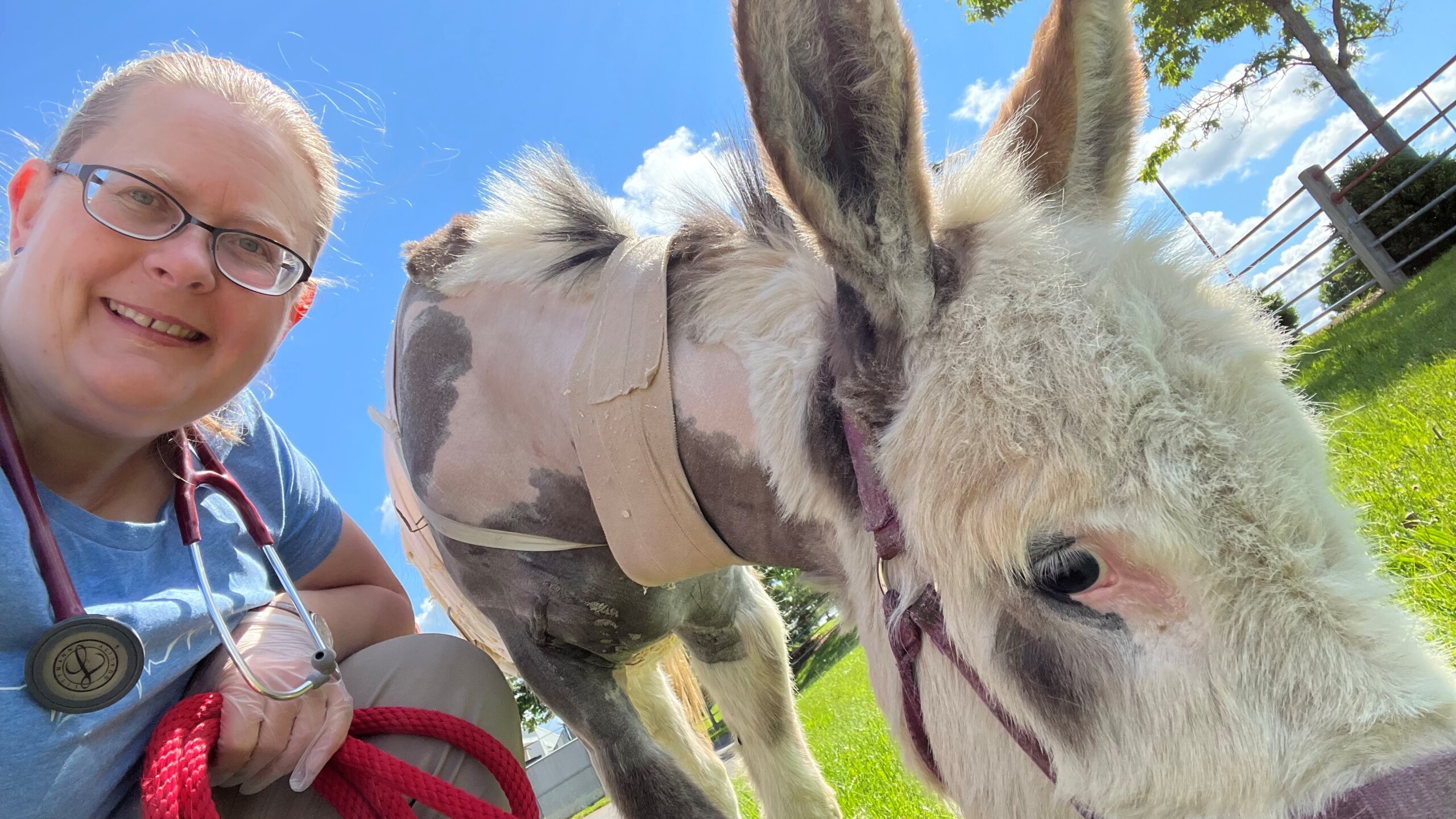 Cornell University Equine Seminar Series - Help! My Vet Heard Irregular Heartbeats: What Does that Mean?