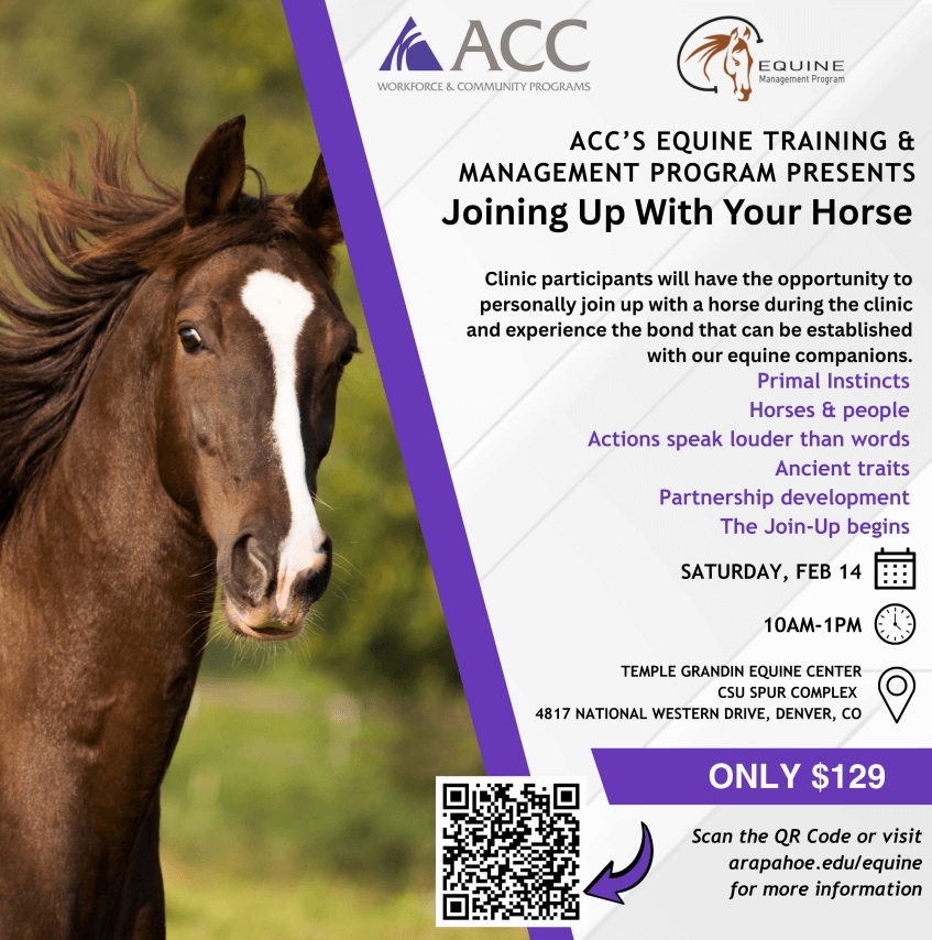 Joining Up With Your Horse Equine Clinic