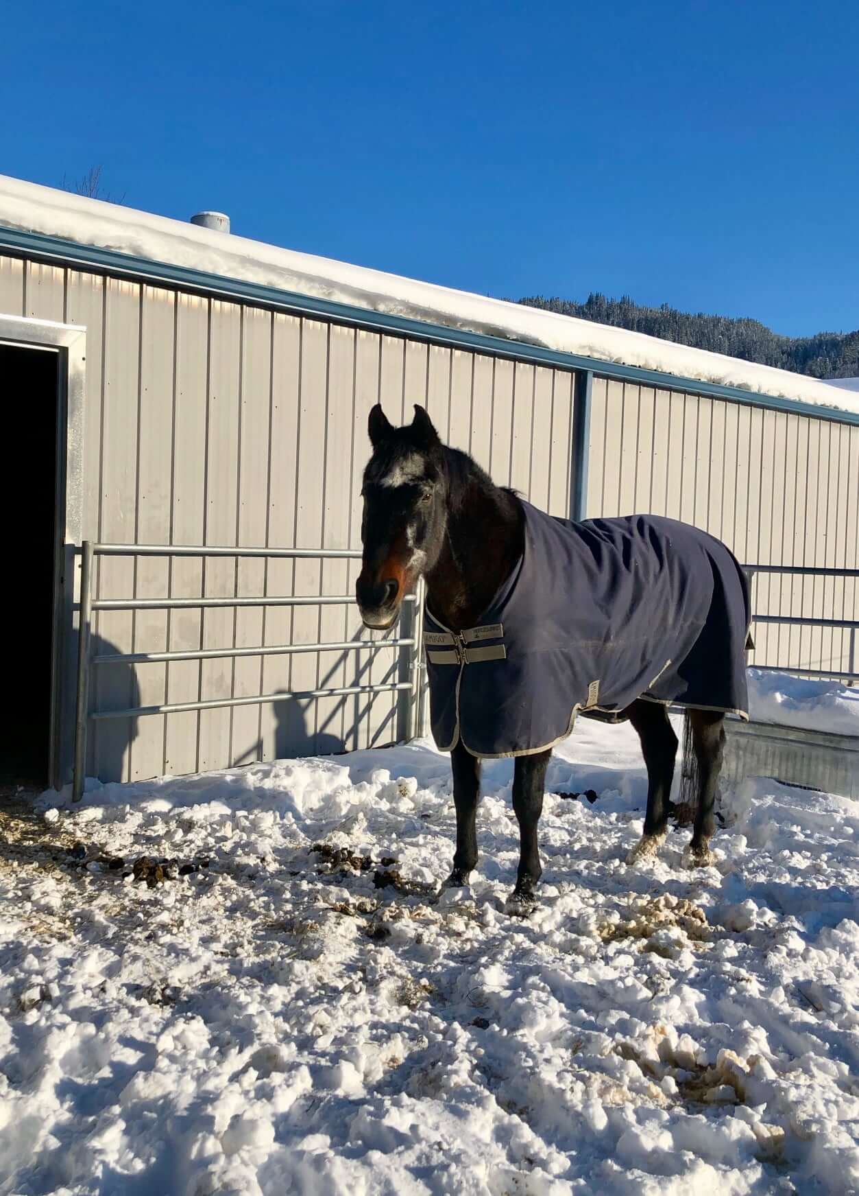 Blue Gate Farm - Image 9