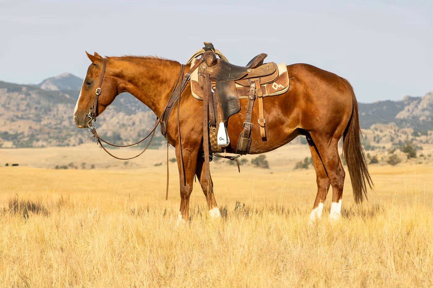 DM ImaFlashySpoonful