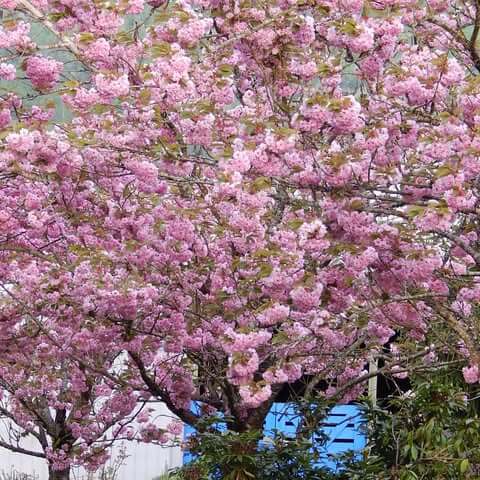 Blue Gate Farm - Image 6