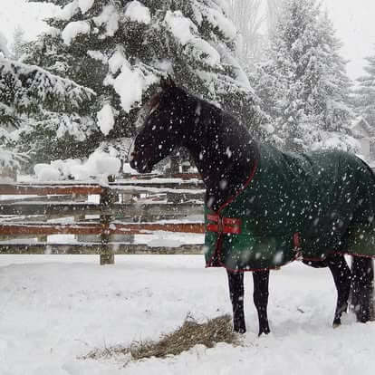 Blue Gate Farm - Image 11