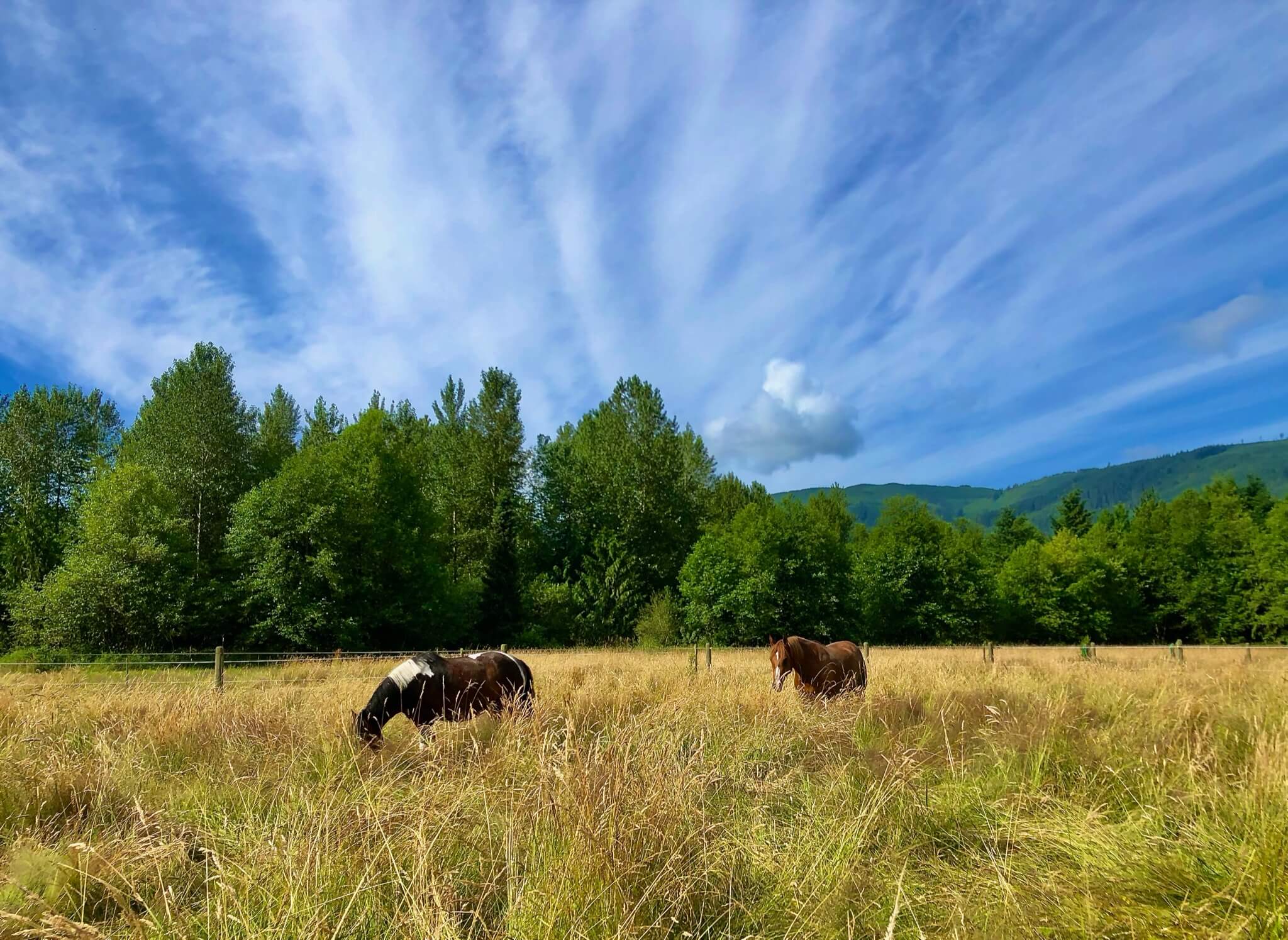 Blue Gate Farm - Image 4
