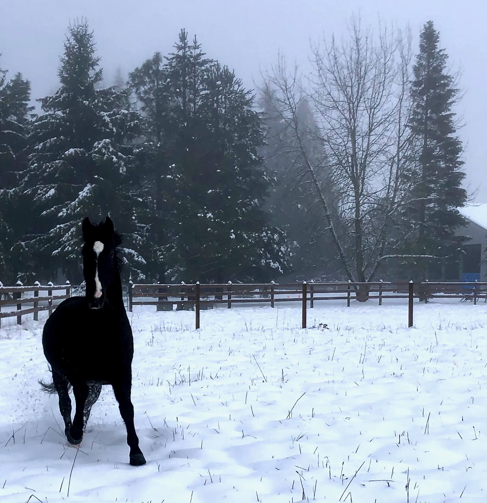 Blue Gate Farm - Image 8