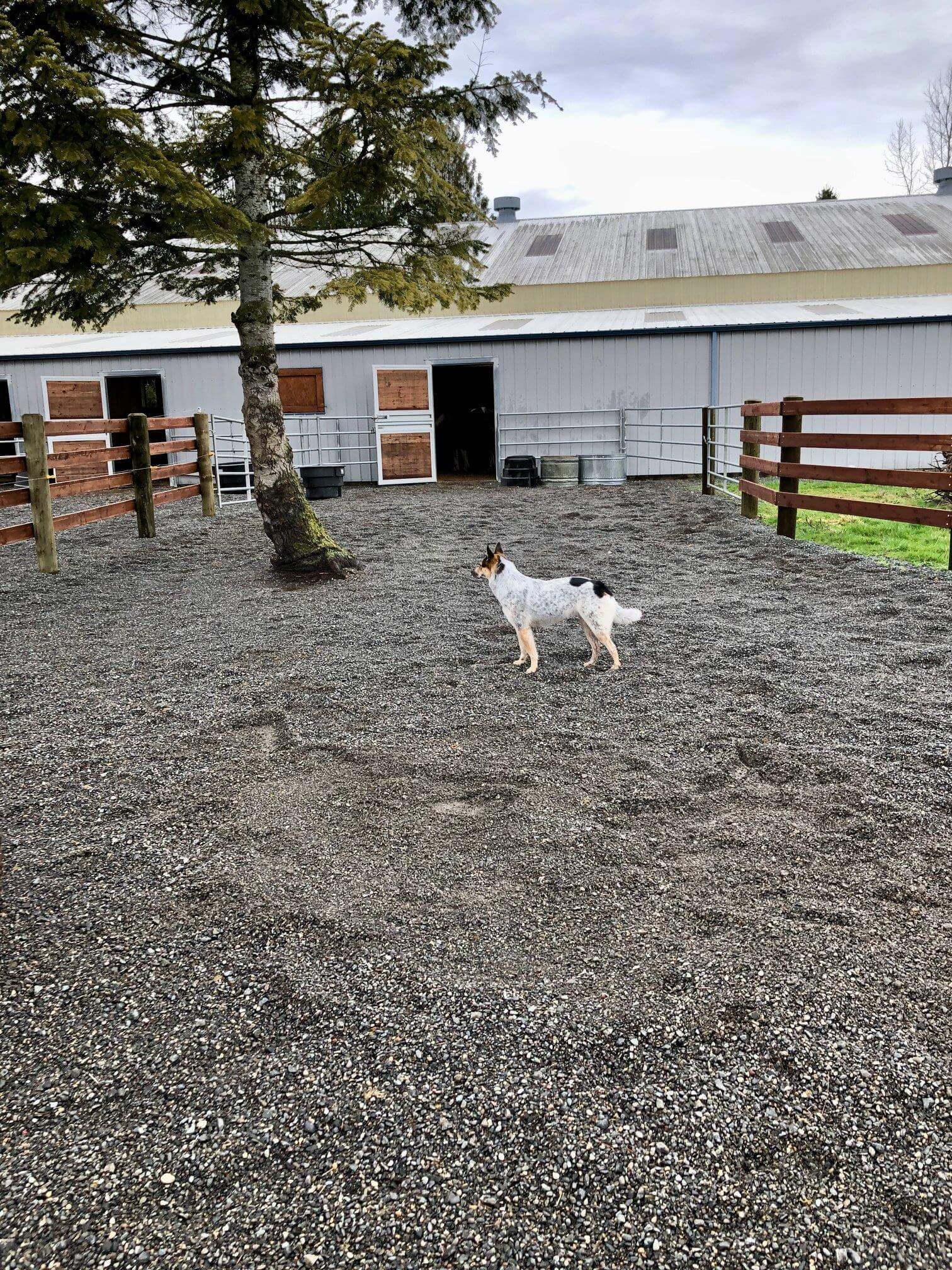 Blue Gate Farm - Image 7