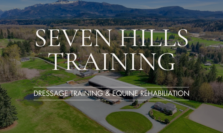 Seven Hills Training | Dressage Training & Equine Rehabilitation