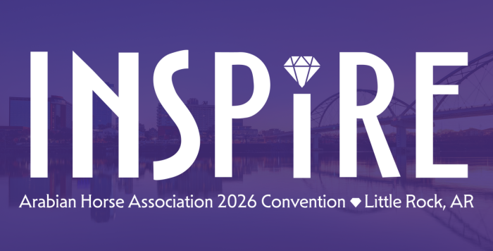 24th Annual AHA Convention