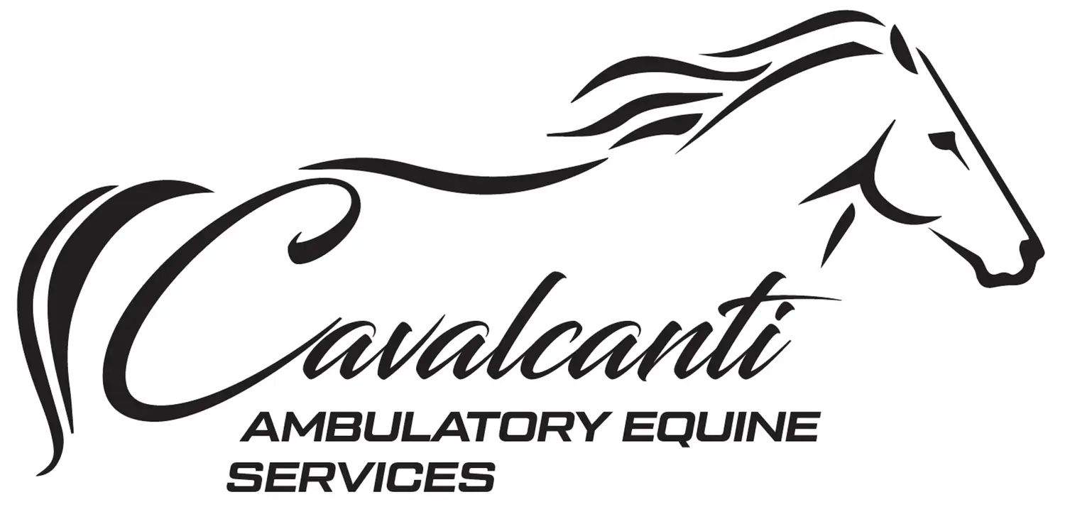 Cavalcanti Ambulatory Equine Services