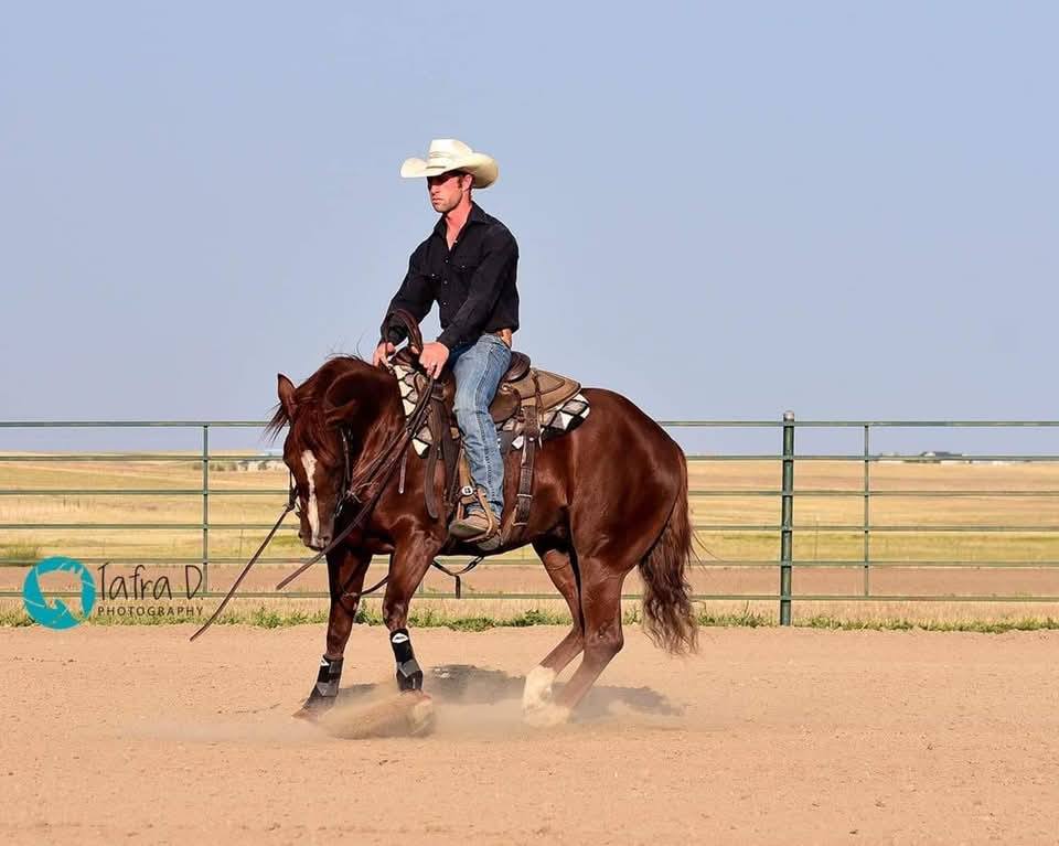 Ranch Horse Round Up