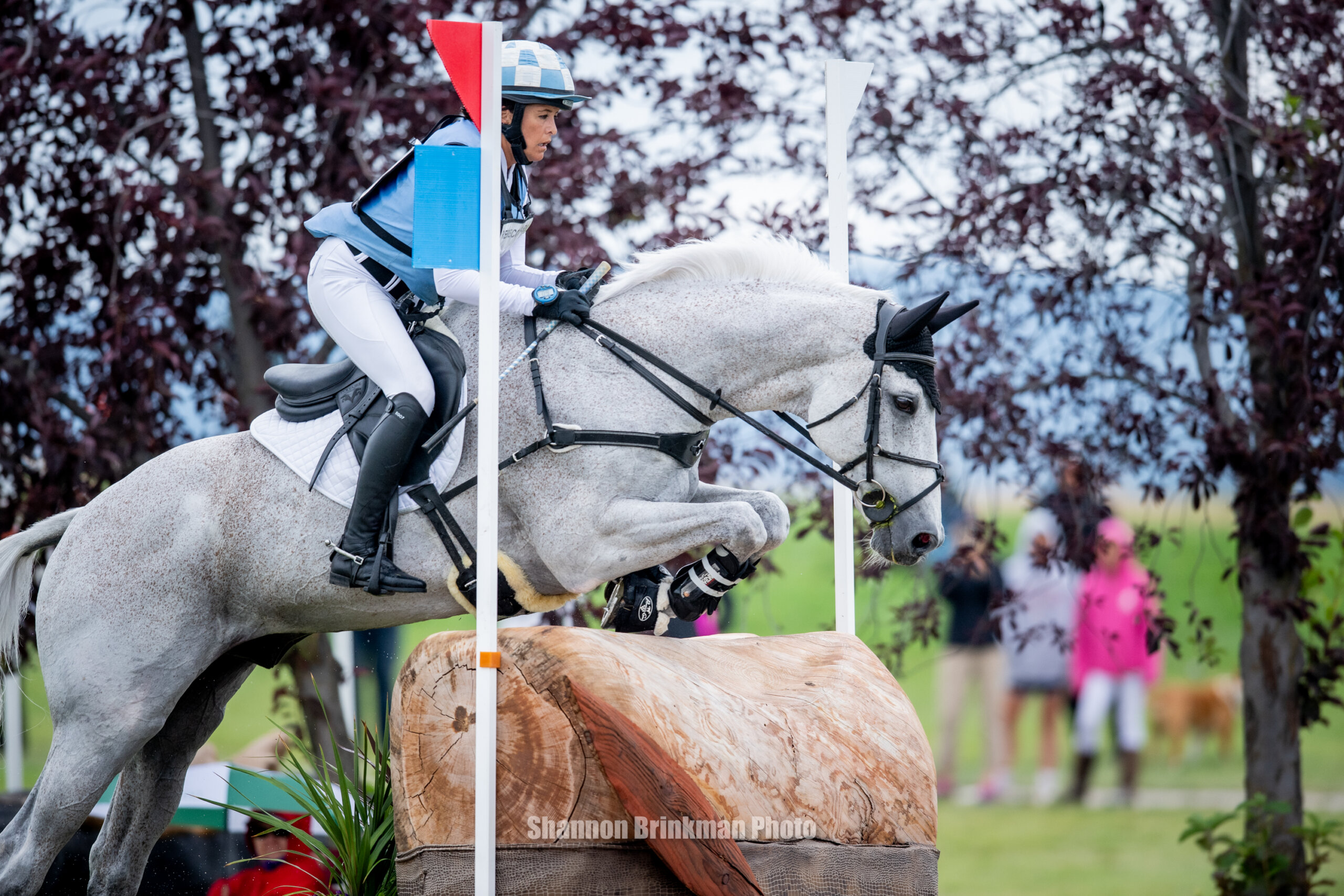 The Event at Rebecca Farm