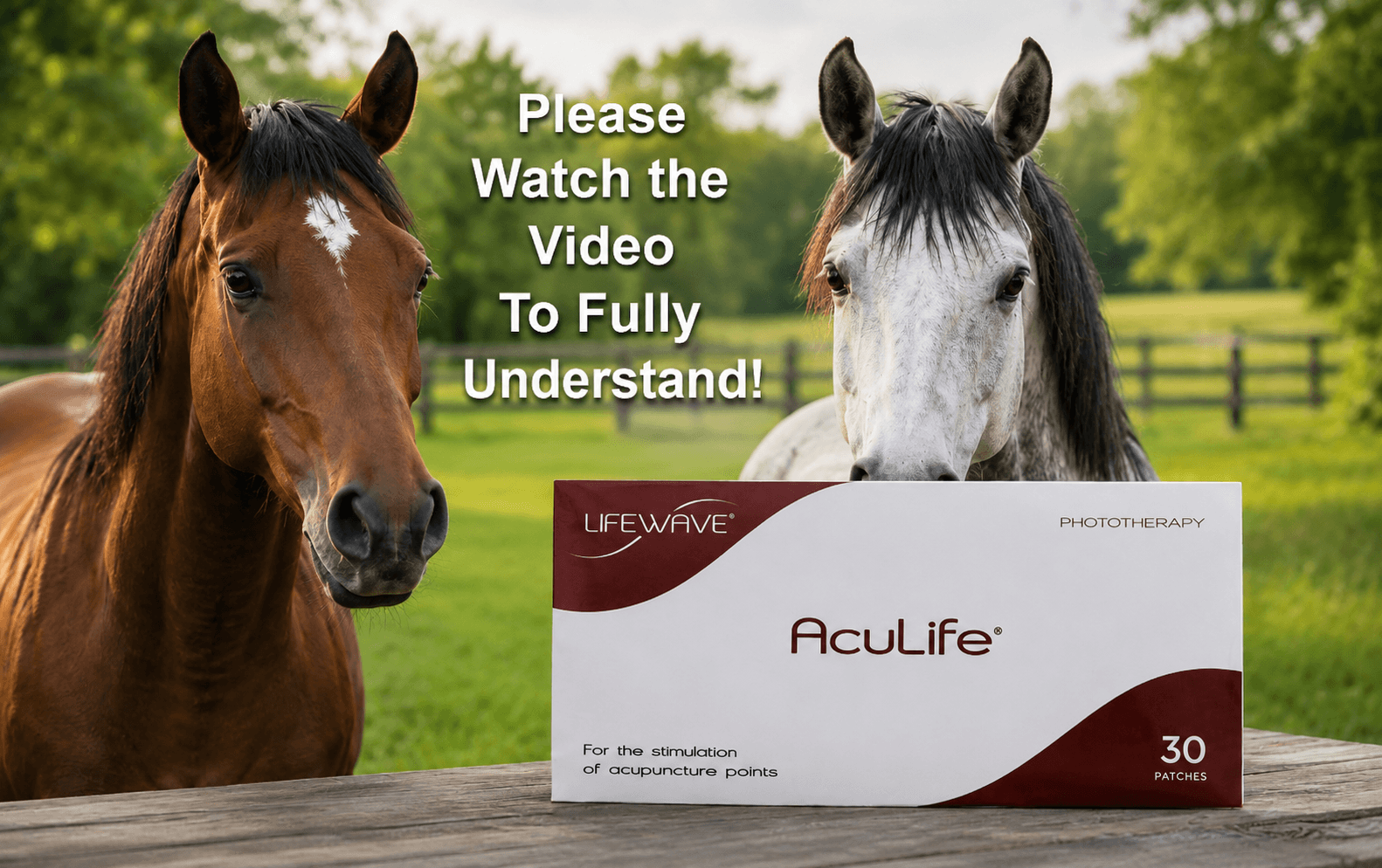 AcuLife For Horses