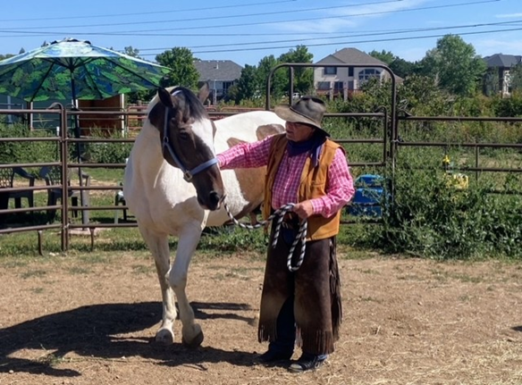 Understanding Equine Behavior
