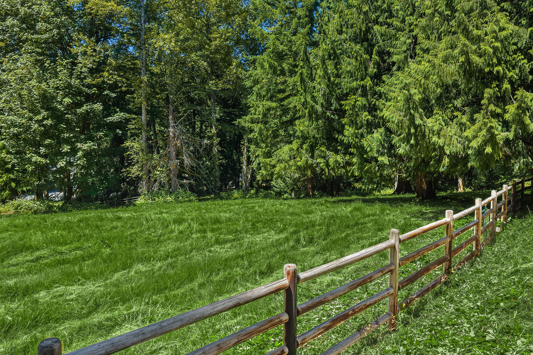 Union Hill Equestrian Living - Image 8