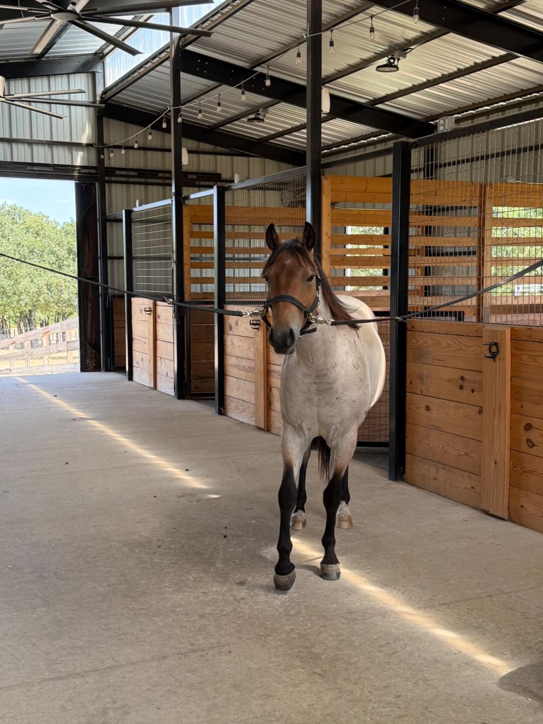 The Stables at Bent Tree Ridge - Image 2