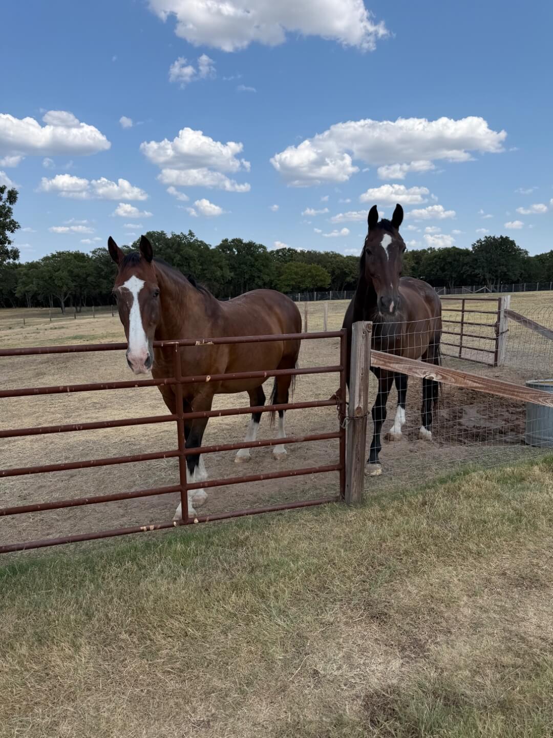 The Stables at Bent Tree Ridge - Image 1