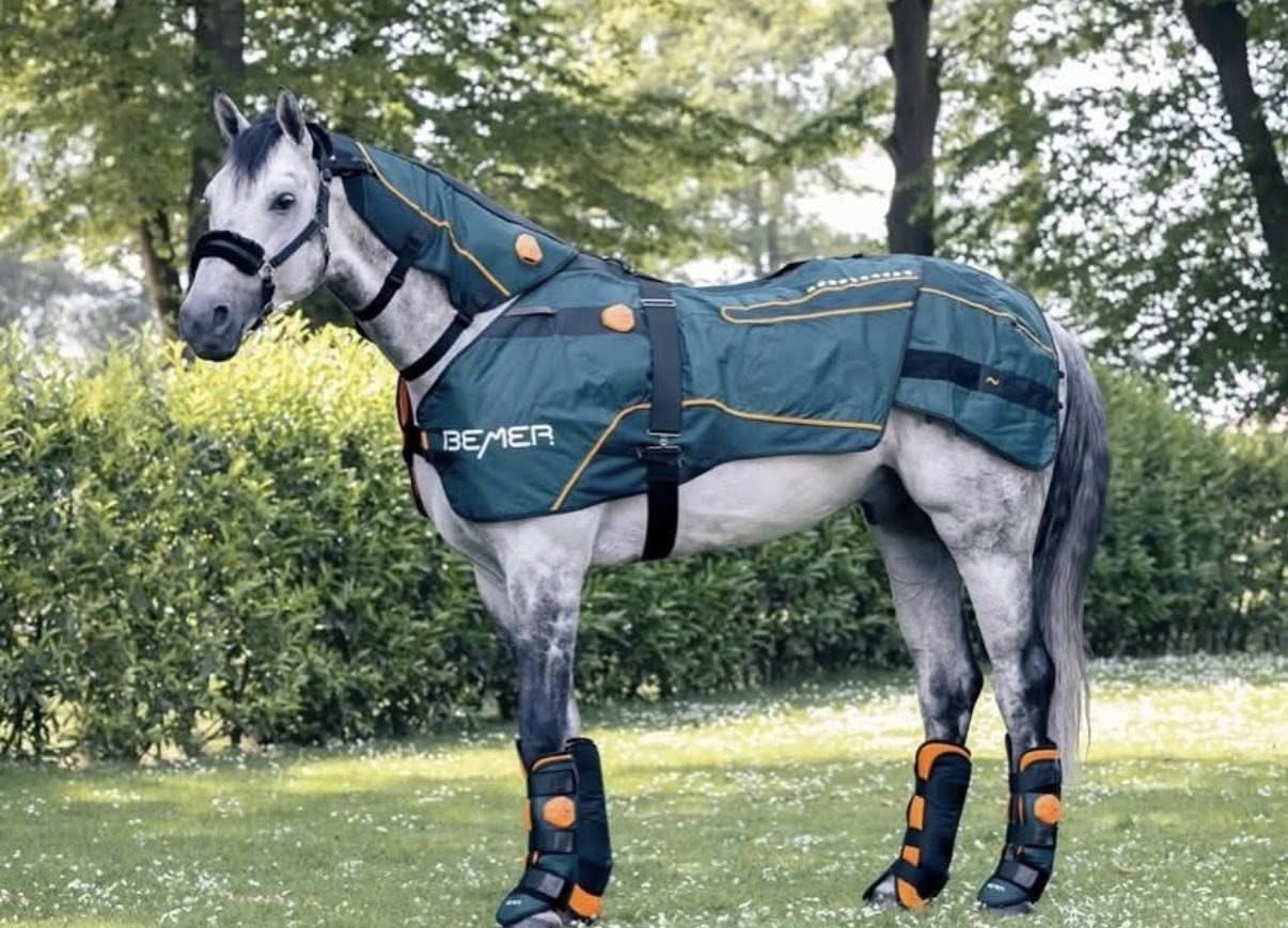 Rider Fit - Image 5