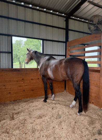The Stables at Bent Tree Ridge - Image 5