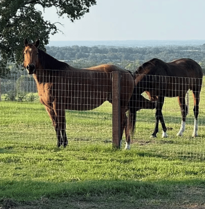 The Stables at Bent Tree Ridge - Image 6