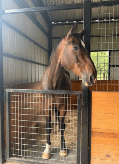 The Stables at Bent Tree Ridge - Image 3