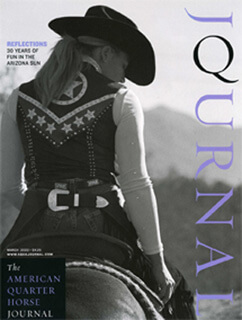 The Chap Lady - Image 2